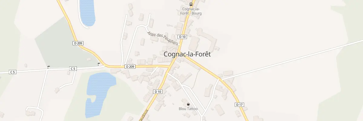 Plan du 4 Rue Alpinien Bourdeau à Cognac-la-Forêt