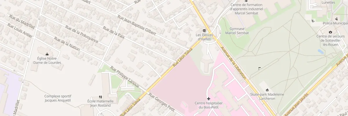 Plan du 160 Rue Leon Salva à Sotteville-lès-Rouen
