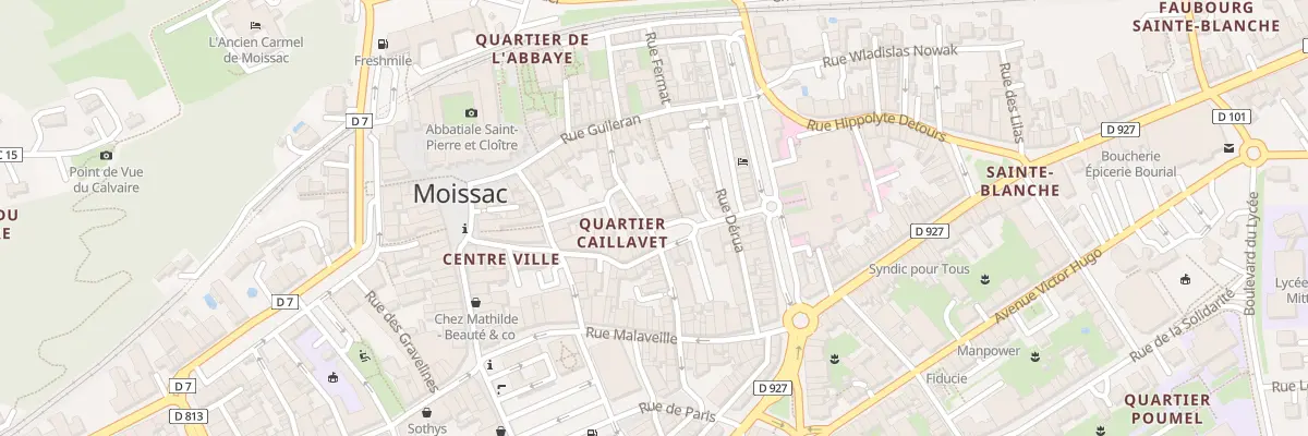 Plan du 1 Pl des Palmiers à Moissac