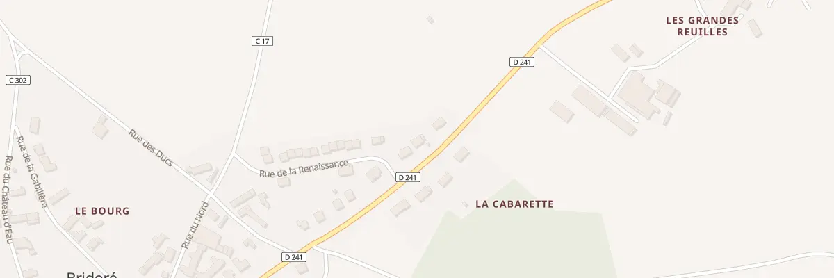 Plan du 45 Rue du Professeur Debré à Bridoré