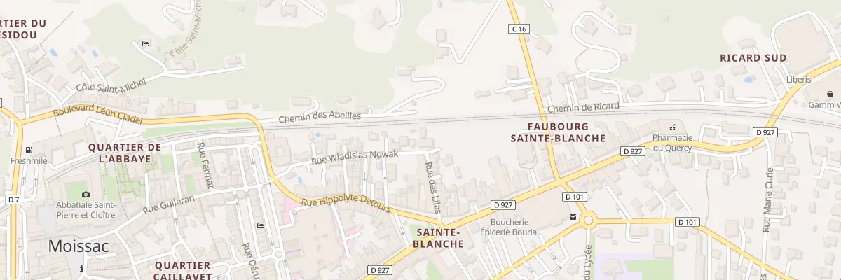 Plan du 21 Rue Wladislas Nowak à Moissac