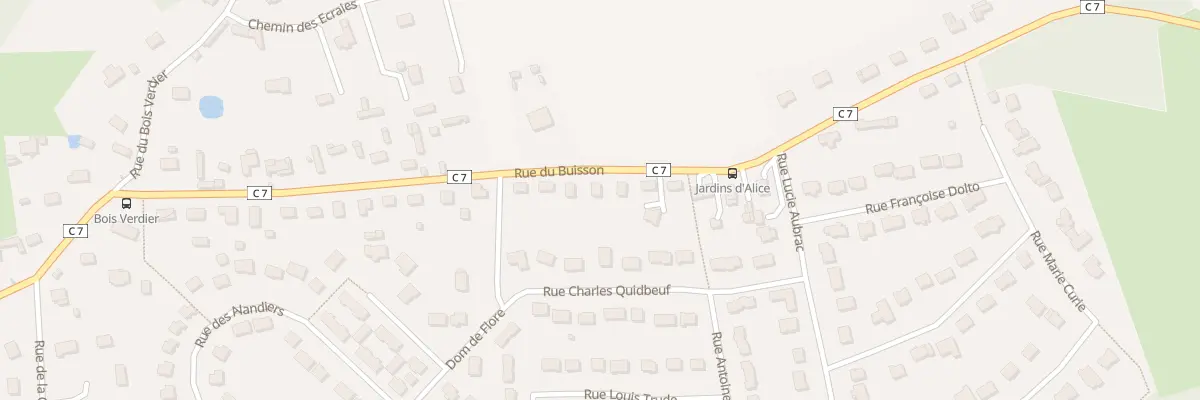 Plan du 29 Rue du Buisson à Saint-Sébastien-de-Morsent