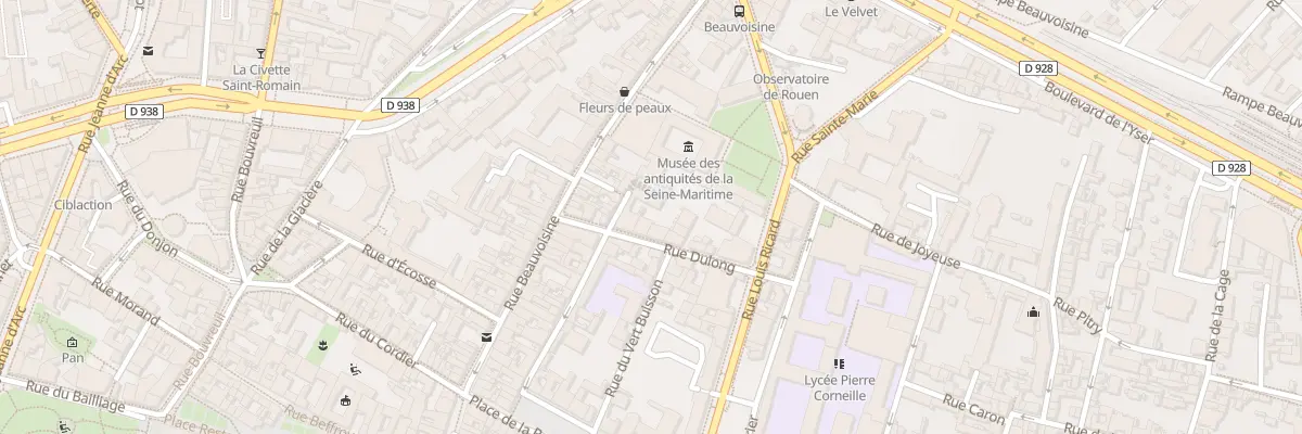 Plan du 10 Rue Dulong à Rouen