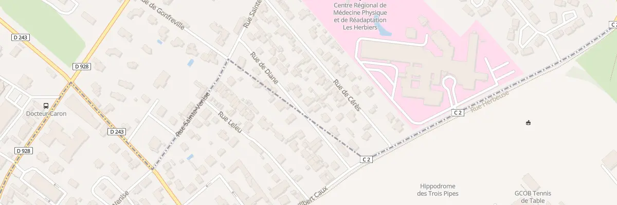 Plan du 133 Rue de Diane à Auzouville-sur-Ry