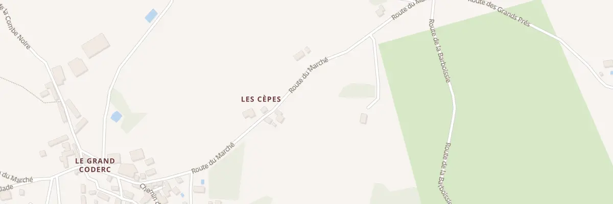 Plan du 299 Rte du Marché à Saint-Rabier