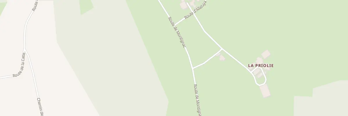 Plan du 963 Rte de Montignac à Tamniès