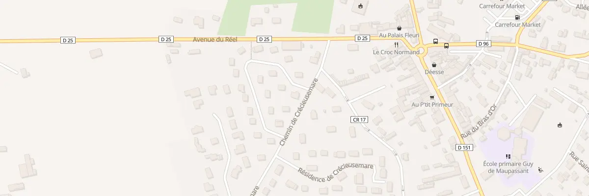 Plan du 13 Rue de Boniface à Bosc-le-Hard