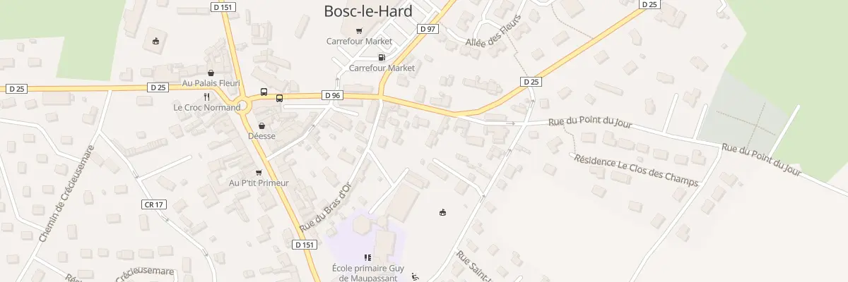 Plan du 106 Rue du Sire de Bosc Rohard à Bosc-le-Hard