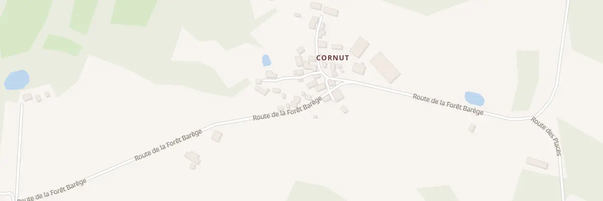 Plan du 207 Cornut à Génis