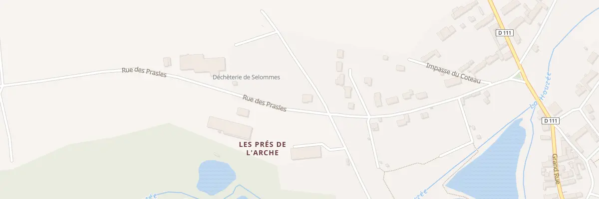 Plan du 25 Rue des Prasles à Selommes
