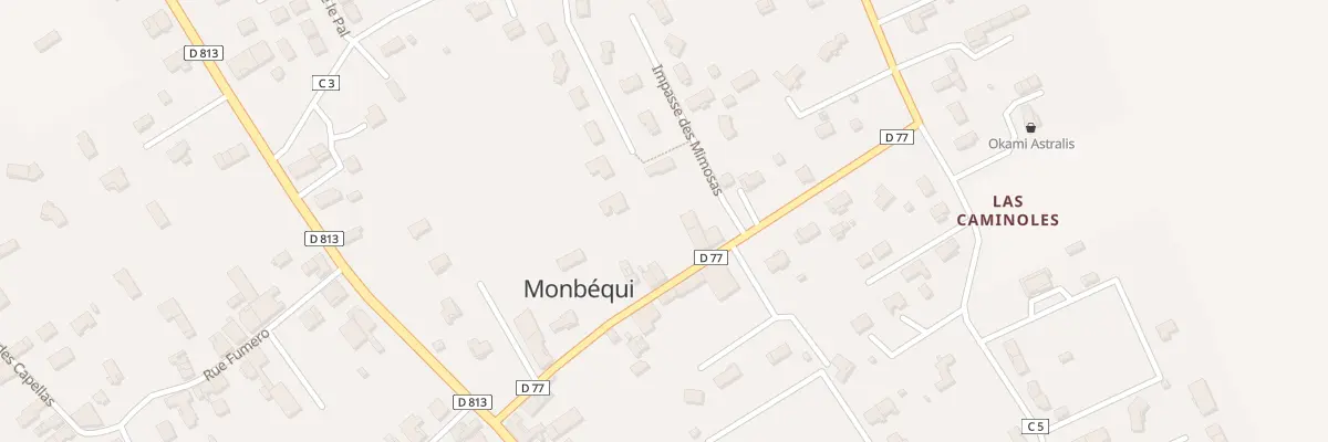 Plan du 207 Rte de Montbartier à Monbéqui