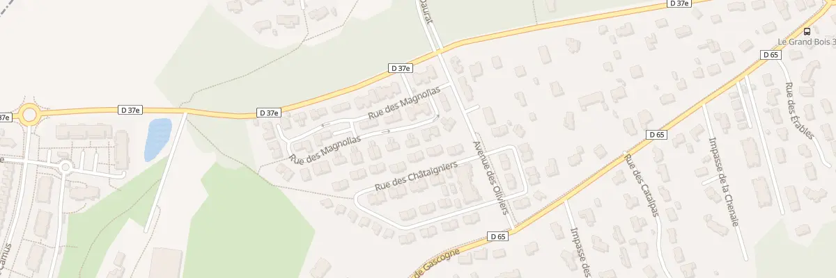 Plan du 76 Rue des Magnolias à La Salvetat-Saint-Gilles