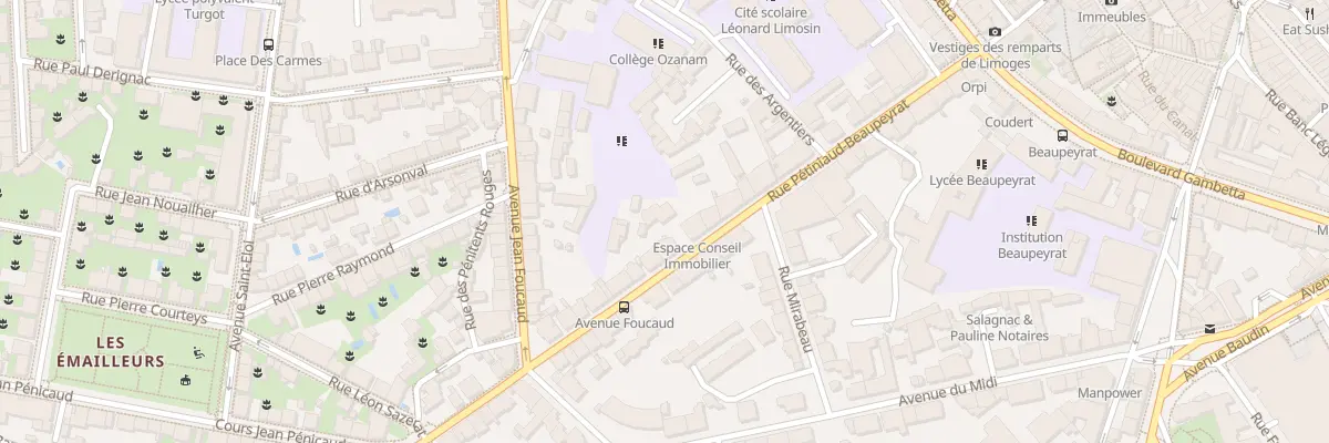 Plan du 22B Rue Pétiniaud-Beaupeyrat à Limoges