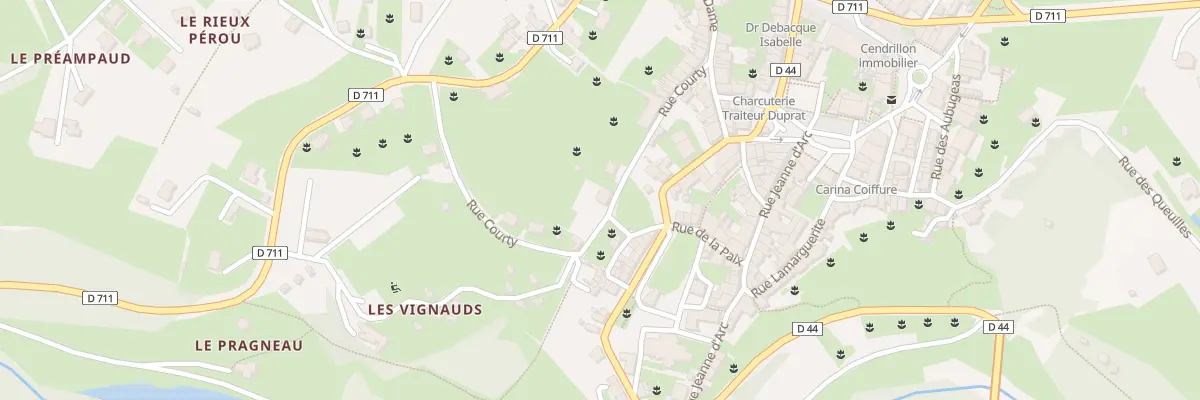 Plan du 26 Rue Courty à Châteauponsac