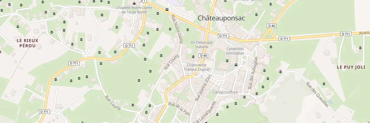 Plan du 9 Rue Gaumot à Châteauponsac