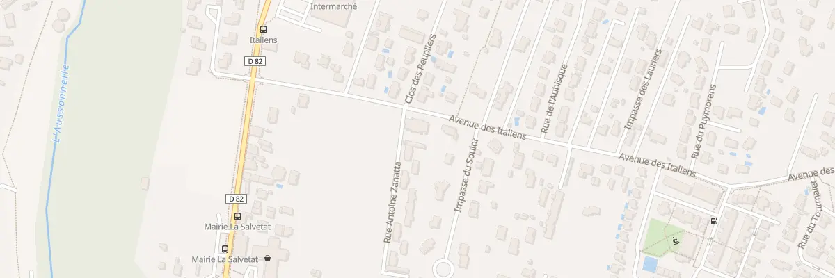Plan du 20 Rue Antoine Zanatta à La Salvetat-Saint-Gilles