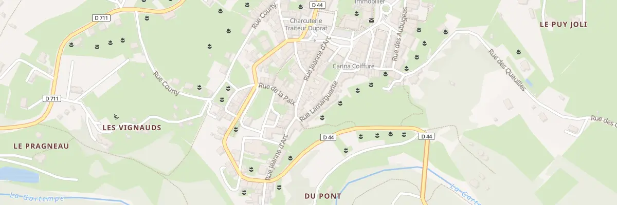Plan du 21 Rue Jeanne d’Arc à Châteauponsac