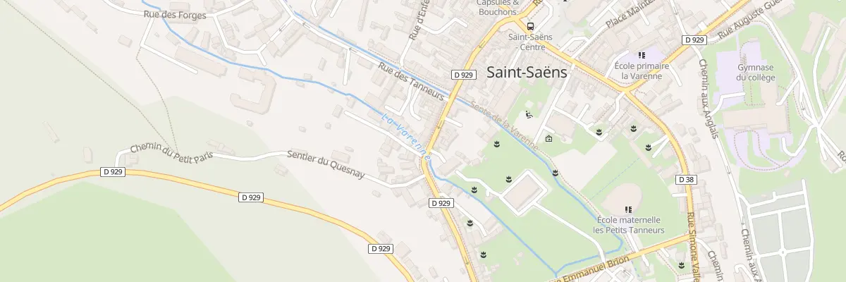 Plan du 54 Rue du Docteur Vassaux à Saint-Saëns