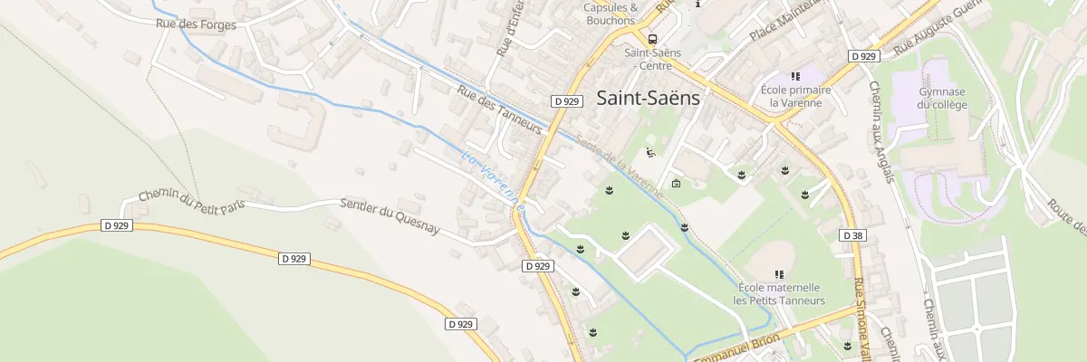 Plan du 41A Rue du Docteur Vassaux à Saint-Saëns