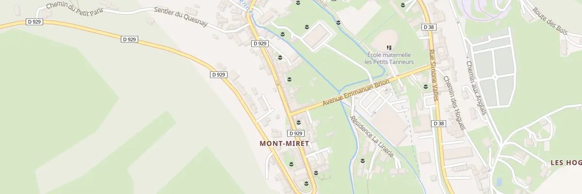 Plan du 229 Rue du Docteur Vassaux à Saint-Saëns