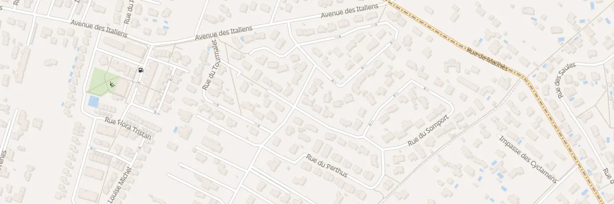 Plan du 1 Rue du Somport à La Salvetat-Saint-Gilles