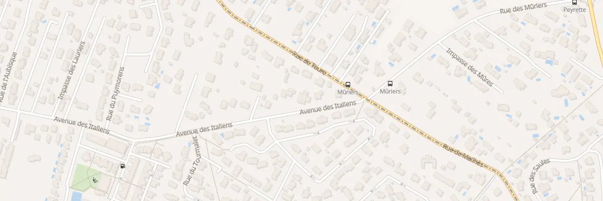 Plan du 73 Av des Italiens à La Salvetat-Saint-Gilles