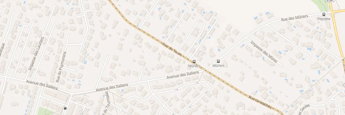 Plan du 1B Rue de Taure à La Salvetat-Saint-Gilles