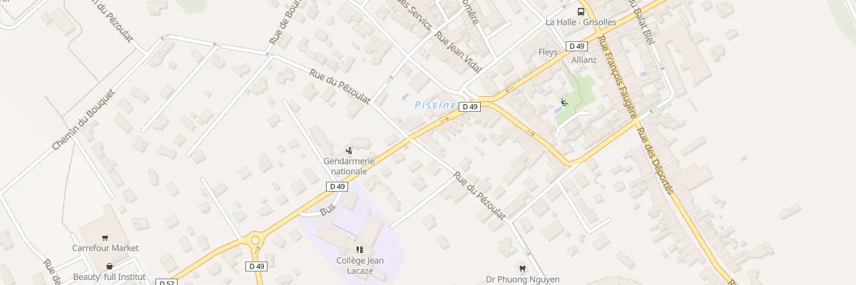 Plan du 391 Rue du Pézoulat à Grisolles