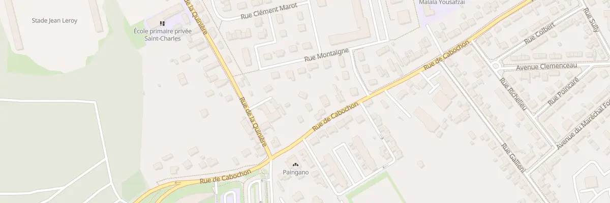 Plan du 215 Rue de Cabochon à Blois