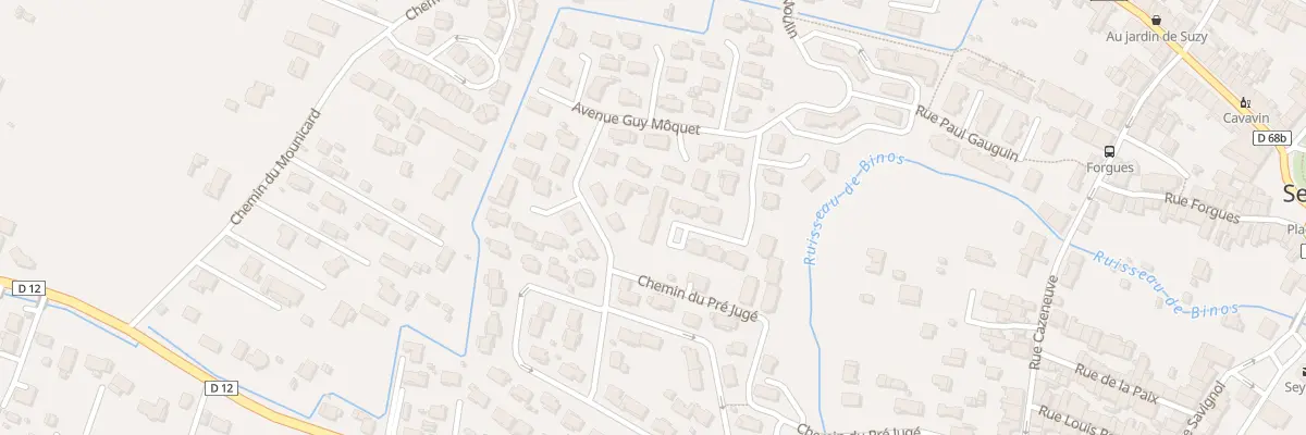 Plan du 25 Rue du Cardinal Saliege à Seysses