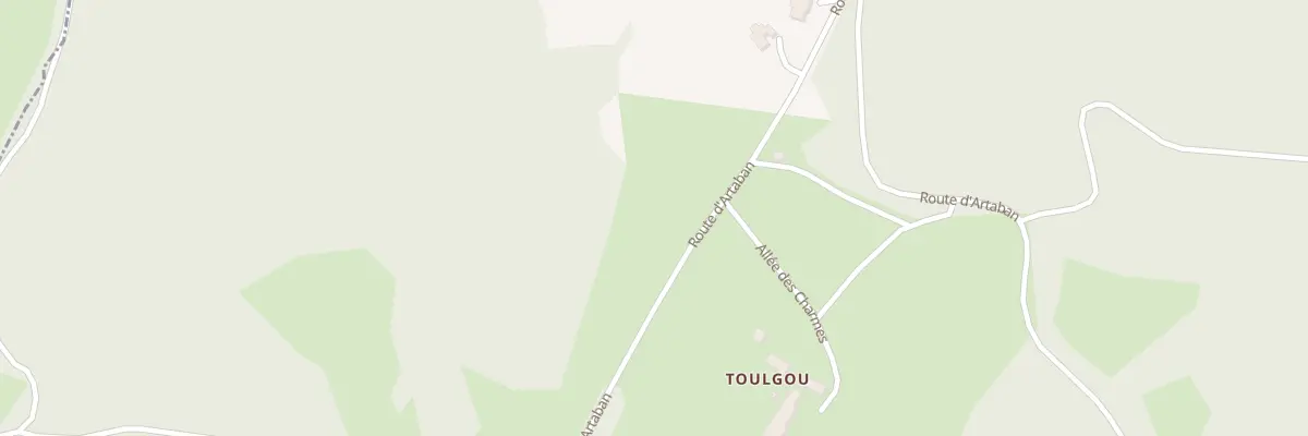 Plan du 5000 Toulgou à Salignac-Eyvigues