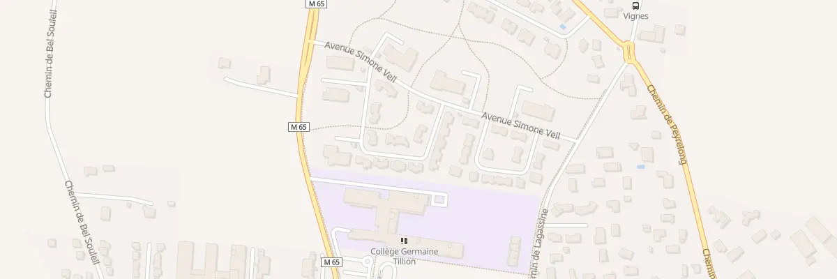 Plan du 19 Rue Louis Lareng à Aussonne