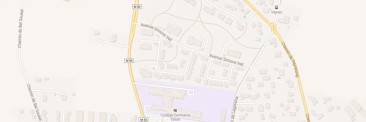 Plan du 21 Rue Louis Lareng à Aussonne