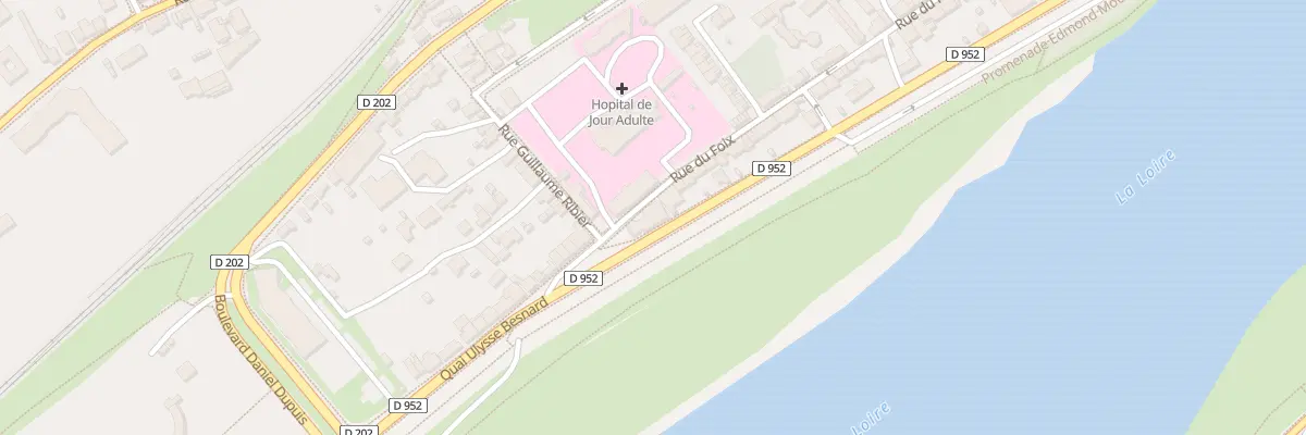 Plan du 98 Rue du Foix à Blois