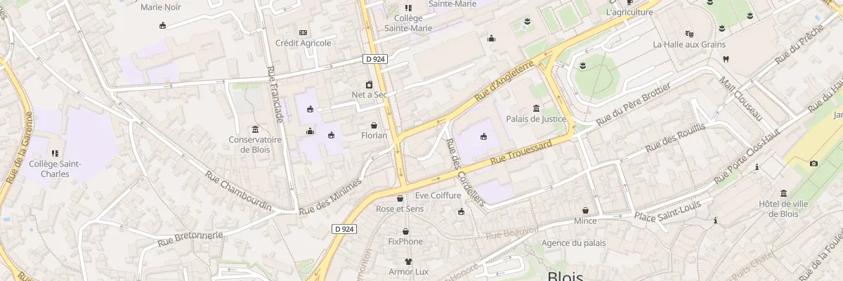 Plan du 1 Rue du Bourg Neuf à Blois