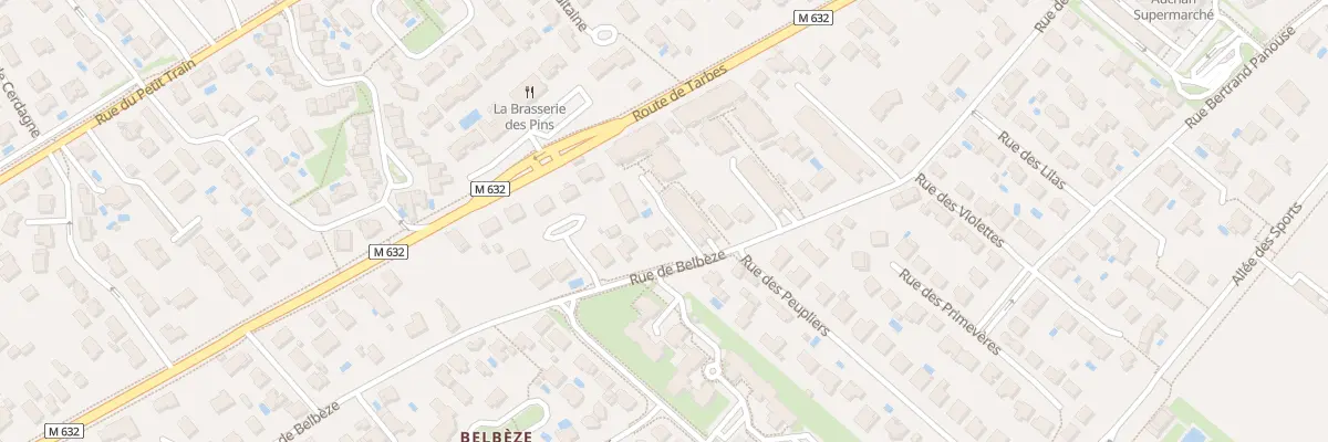 Plan du 59 Rue de Belbèze à Tournefeuille