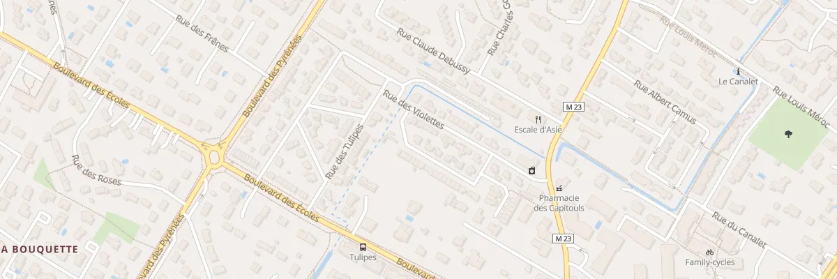 Plan du 29 Rue des Violettes à Villeneuve-Tolosane