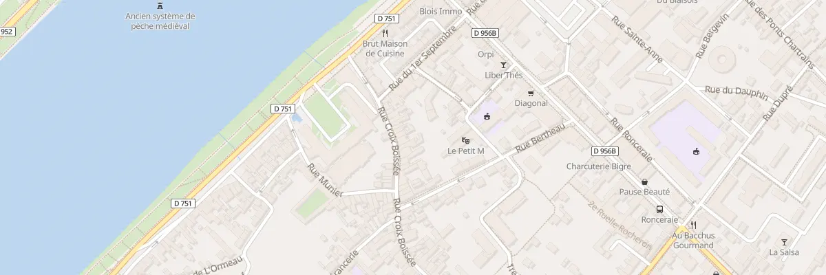 Plan du 46 Rue Croix Boissée à Blois