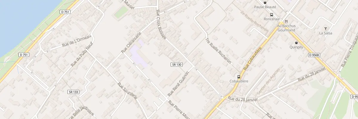 Plan du 73 Rue Croix Boissée à Blois