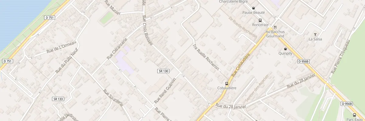 Plan du 102 Rue Croix Boissée à Blois
