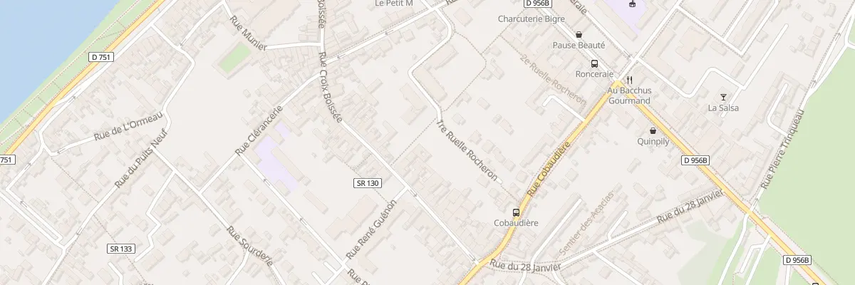 Plan du 102B Rue Croix Boissée à Blois