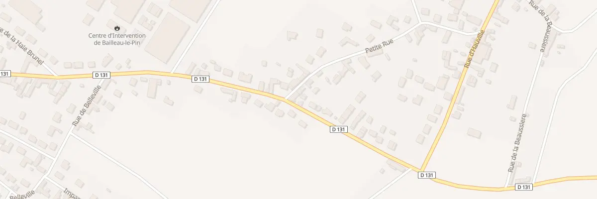 Plan du 29 Rue de Meslay-le-grenet à Bailleau-le-Pin