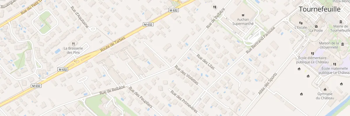Plan du 81 Rue de Belbèze à Tournefeuille