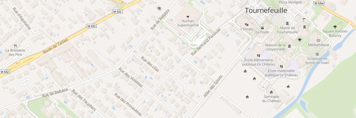Plan du 11 Rue Bertrand Panouse à Tournefeuille