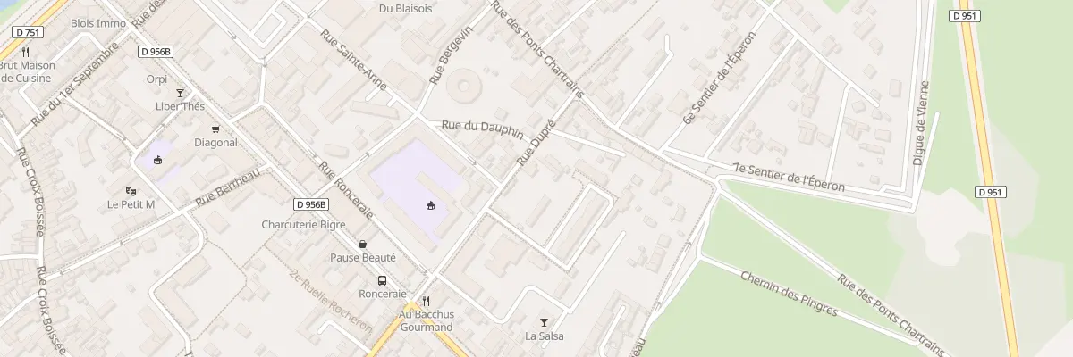 Plan du 11 Rue Dupre à Blois