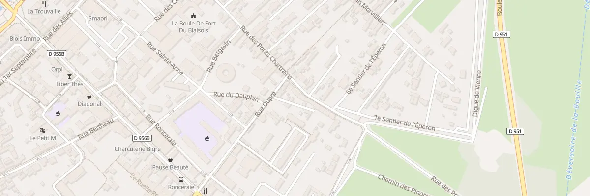 Plan du 57 Rue des Ponts Chartrains à Blois