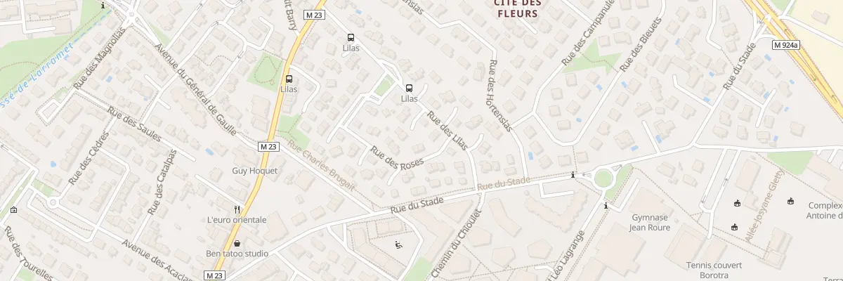 Plan du 23 Rue des Roses à Cugnaux