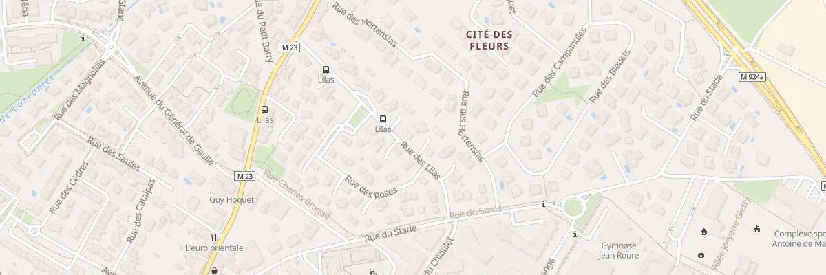 Plan du 29 Rue des Lilas à Cugnaux