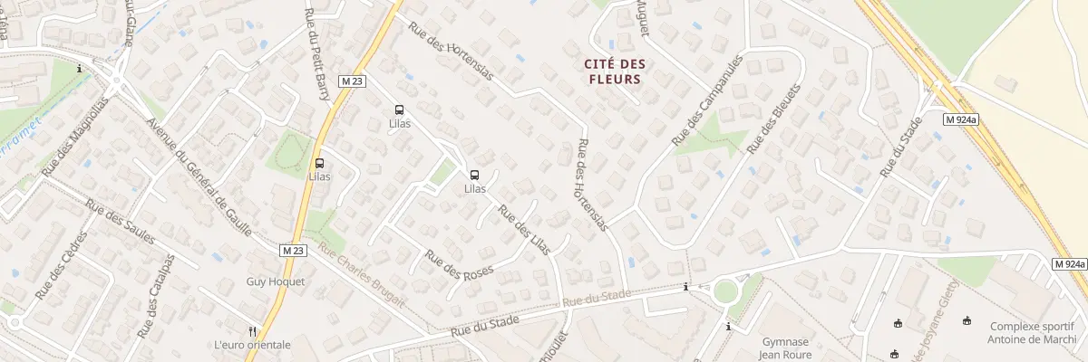 Plan du 33 Rue des Lilas à Cugnaux