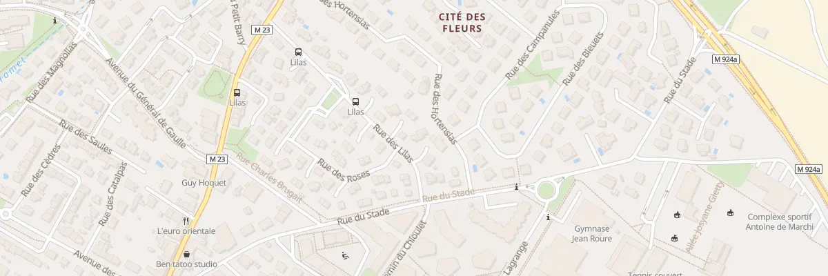 Plan du 39 Rue des Lilas à Cugnaux
